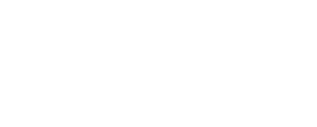 Vin Check